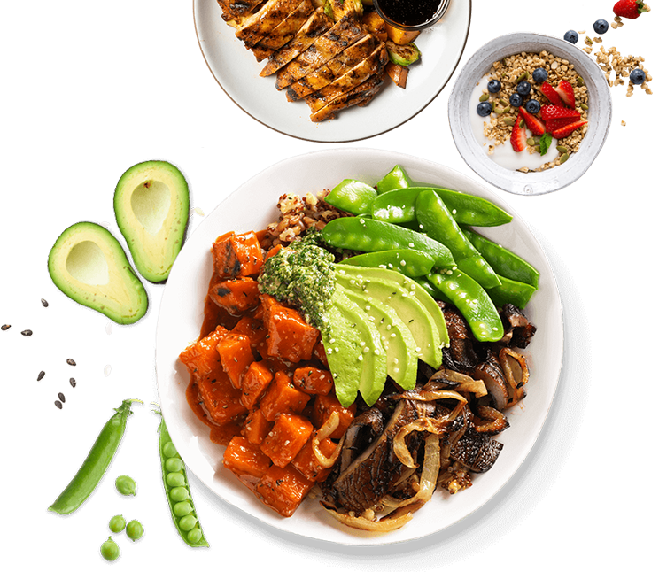 Real Nutrition Solutions for Kids with Gut Issues